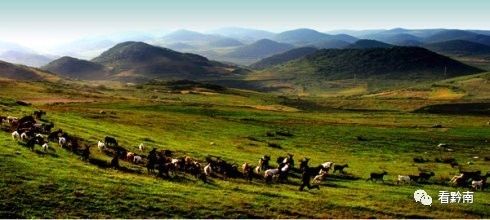 黔南旅游攻略自由行攻略,黔南5条精品旅游线路