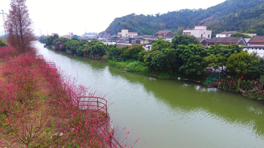 还未脱单?元宵前去东湾村吧,邂逅浪漫!