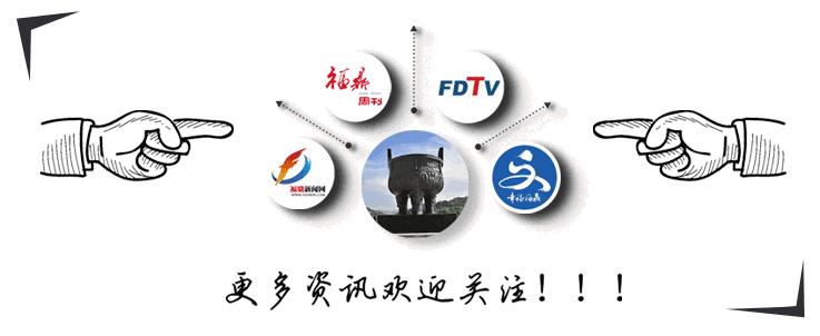 福建省福鼎市纳税大户名单,福鼎市纳税大户企业