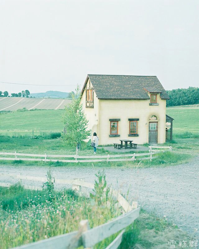 180228郑爽雪糕群2月频繁冒泡有趣还是你有趣