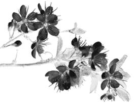 盘点8首英文超燃歌曲,10首让人热血沸腾的学习励志歌曲