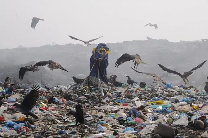 瀹夊痉鐑堟柉鎽勫奖鑾峰,淇勭綏鏂柊闂绘憚褰卞鍥剧墖