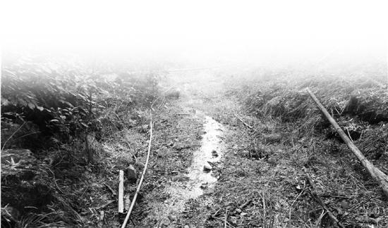 8旬老人被困深井消防部门,8旬老人守护山泉