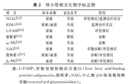 糖尿病肾病的最新研究进展ppt,糖尿病肾病的发病机制研究进展