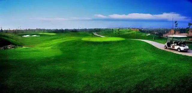 这十大专业冷门却高薪,十大最冷门专业