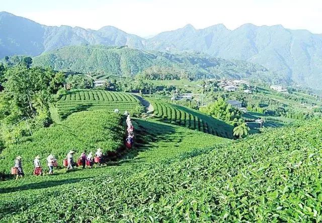 这十大专业冷门却高薪,十大最冷门专业