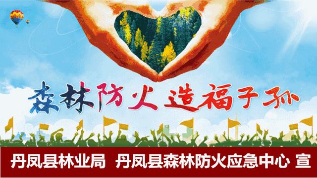 火!火!火!丹凤县2018年“春风行动”暨雨丹劳务协作现场招聘会爆棚啦!