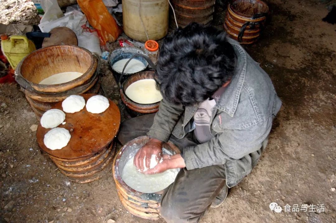 自制健康奶饮,有营养的自制奶