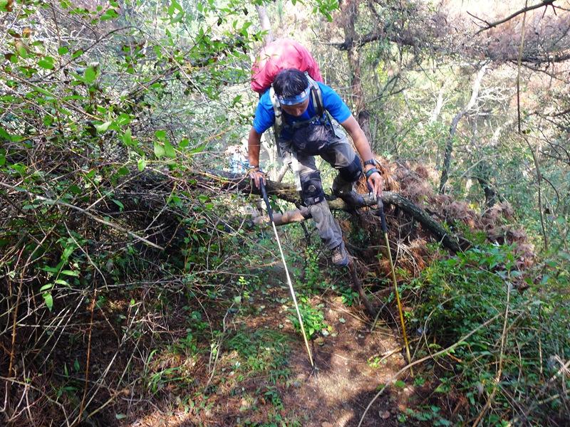 蒙山三十六计之十六：雨潜麻峪环古寺