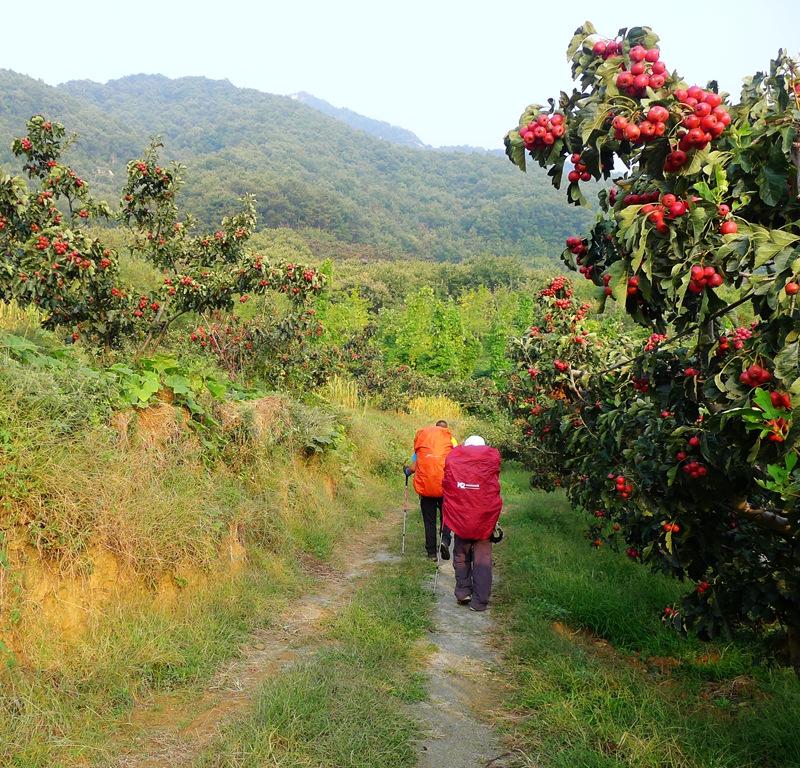 蒙山三十六计之十六：雨潜麻峪环古寺