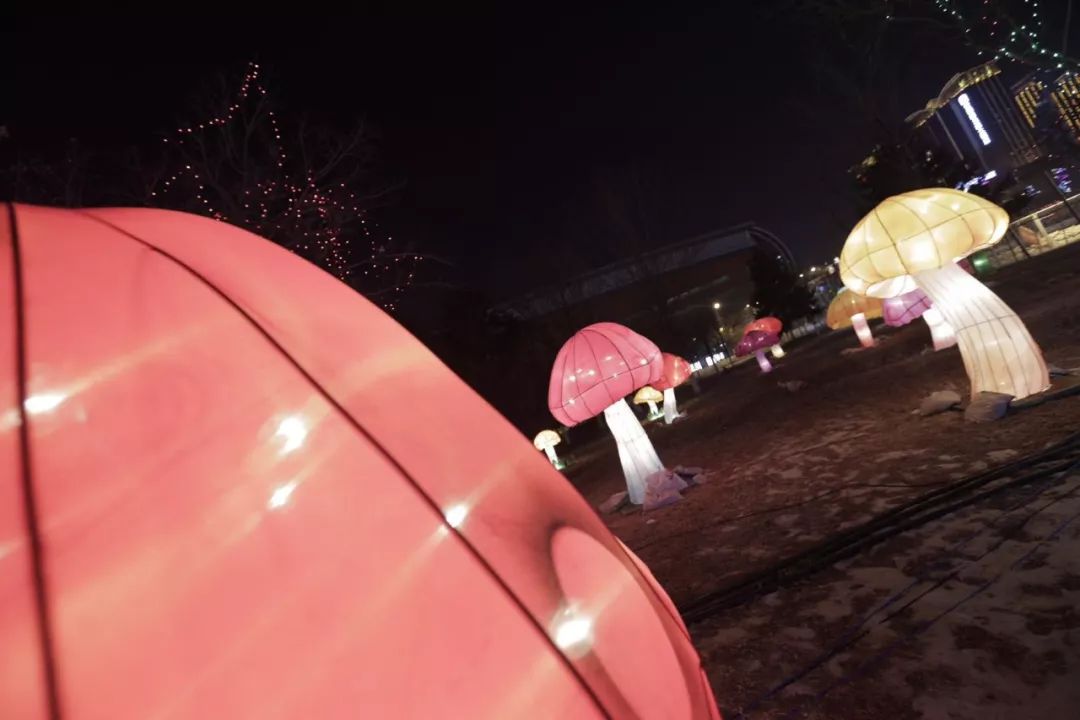 沈阳元宵节赏灯地点北市场,沈阳正月十五元宵节去哪看灯