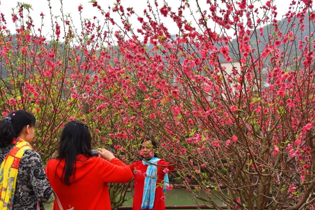 还未脱单?元宵前去东湾村吧,邂逅浪漫!