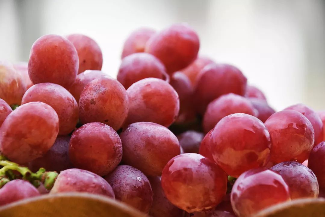 还未脱单?元宵前去东湾村吧,邂逅浪漫!