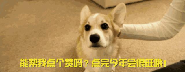 315快来了该怎么投诉,315真的帮你维权吗