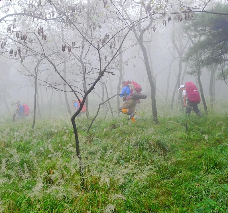 蒙山三十六计之十六：雨潜麻峪环古寺
