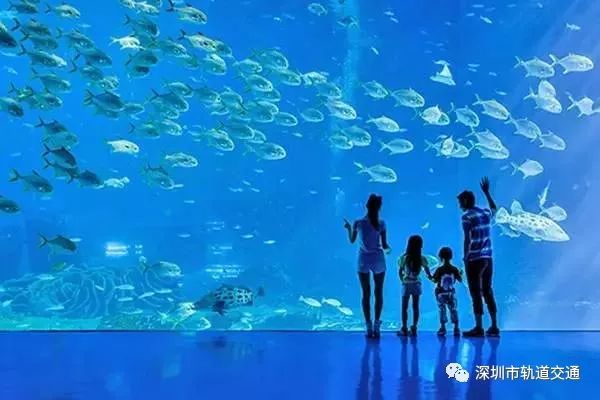 深圳高铁最佳路线图,深圳高铁沿途风景视频