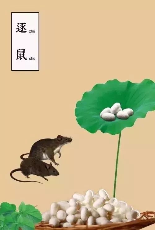 元宵祝福短信,元宵祝福视频30秒