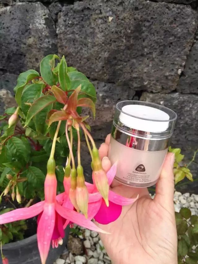 新西兰送礼物,新西兰送礼送什么东西好