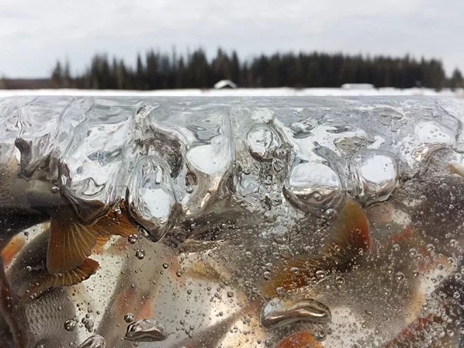 瀹夊痉鐑堟柉鎽勫奖鑾峰,淇勭綏鏂柊闂绘憚褰卞鍥剧墖