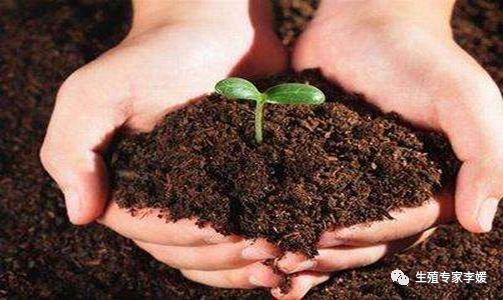 子宫内膜薄吃什么食物,子宫内膜薄是什么意思