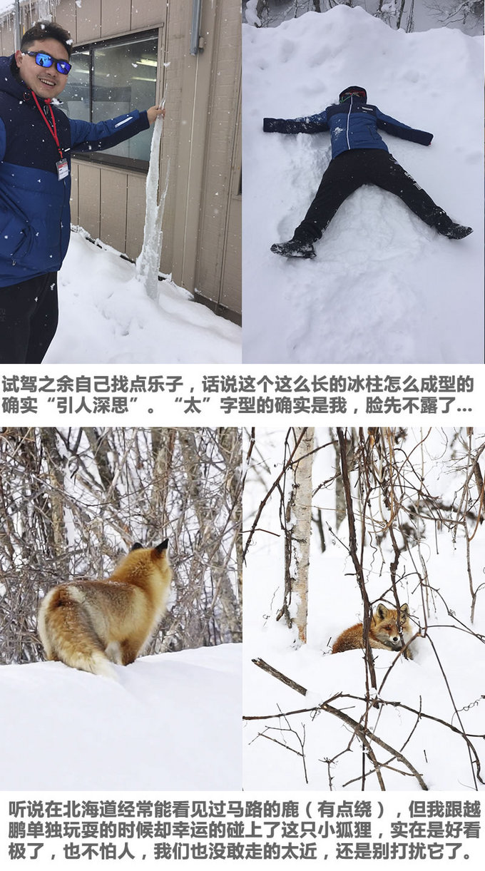 三天吃四顿饭，大汉秒变代购！北海道-东京游记