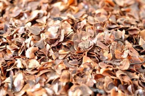 健康肩颈枕头,睡觉不伤颈椎的枕头