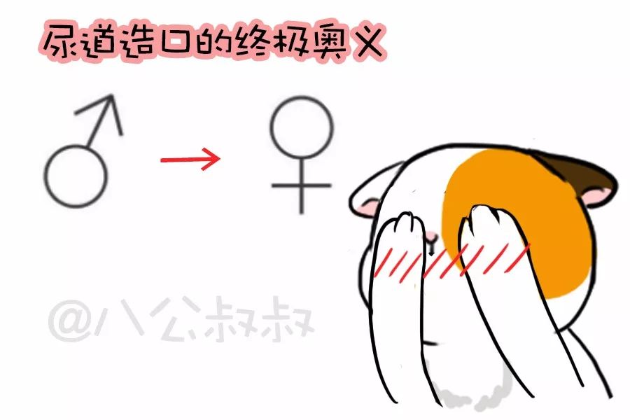 知识猫咪尿频尿急尿不出?当心得了下泌尿道症候群!