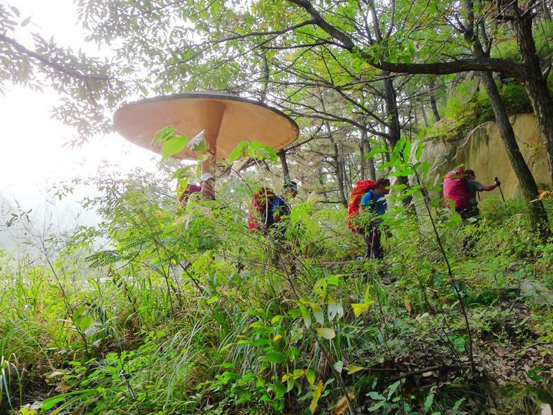 蒙山三十六计之十六：雨潜麻峪环古寺