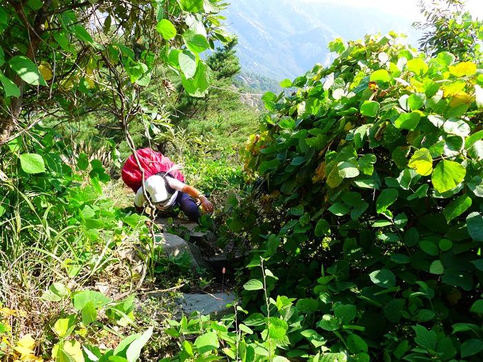 蒙山三十六计之十六：雨潜麻峪环古寺