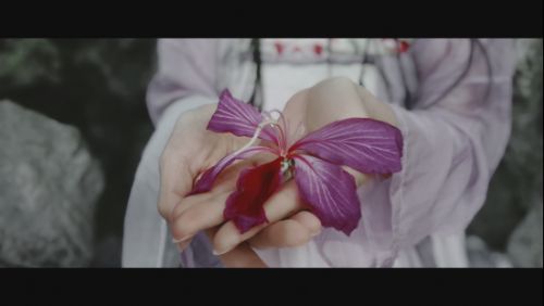 古风摄影大触遇到美图T8s手机演绎唯美绝艳COS大片