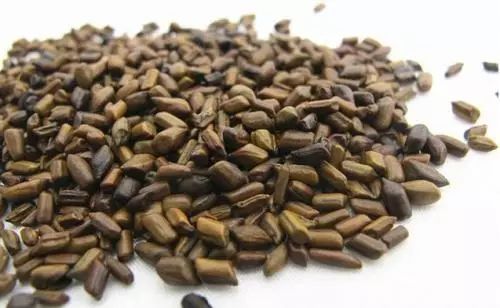 “神药”香丹丸：靠“中毒”来通便的保健品