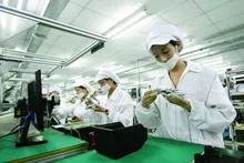 湖南株洲市炎陵县,湖南省株洲市炎陵县介绍