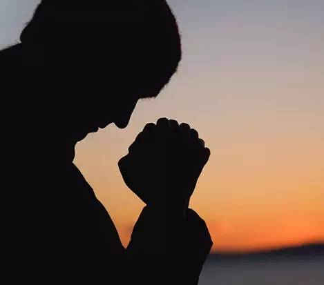 燕京茶小生代理,燕京茶小生怎么代理