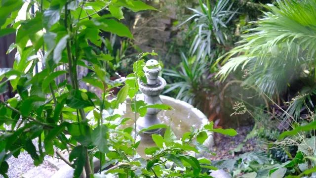 深度吃喝游记｜为什么我在台湾暴饮暴食了十天，却一斤都没长胖？