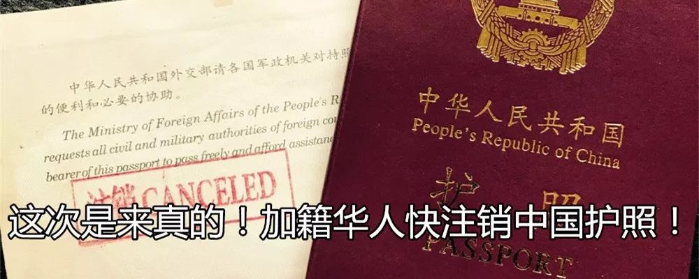 costco鱼油为什么比国外还便宜,costco的鱼油怎么样