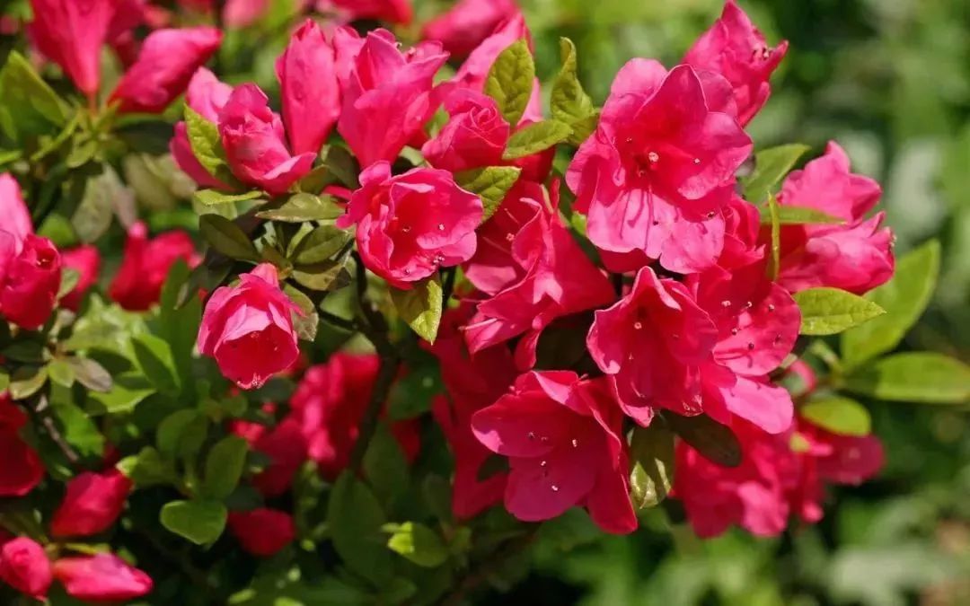 上海明天哪些景点免费开放,上海小众景点游玩免费