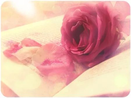 「难以置信」3.8元！昌吉二维码扫出肌肉欧巴？拎包、拍照很贴心！