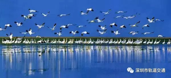 深圳高铁最佳路线图,深圳高铁沿途风景视频