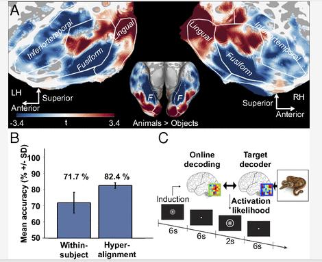 最新超级血液疗法有望治愈癌症：红细胞替代缺失酶