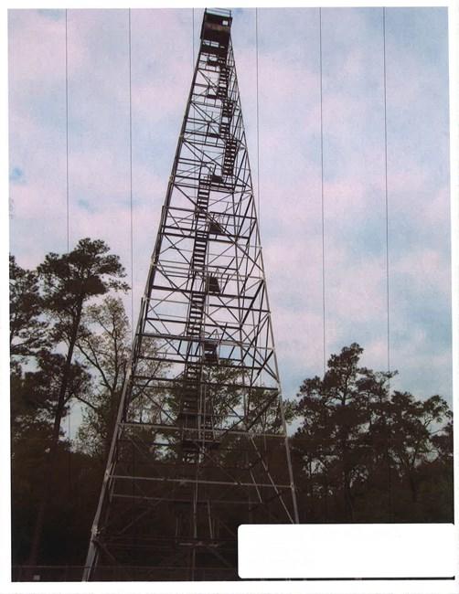 这个14岁的《看火人》玩家，希望拯救美国的防火瞭望塔