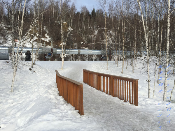 北极5天4晚旅游攻略,美国阿拉斯加6日游