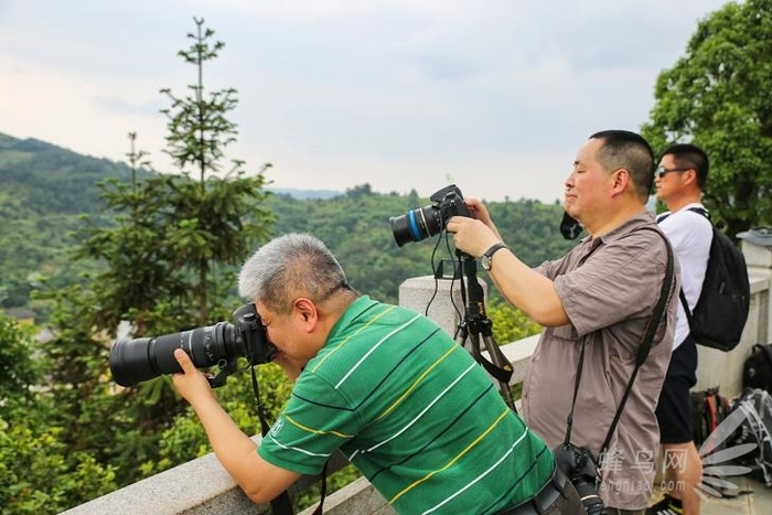 跟着大师去创作2016腾龙行福建站圆满收官