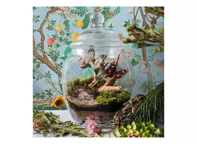 穿gucci去酒吧,穿gucci去专柜