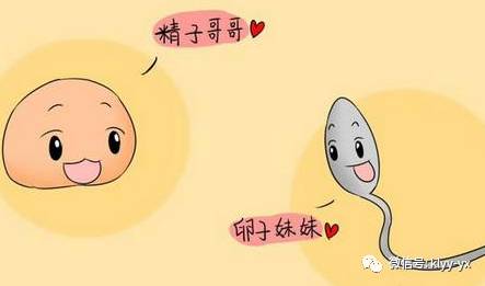 怀孕后白带如果出现这些现象,请一定要上心!