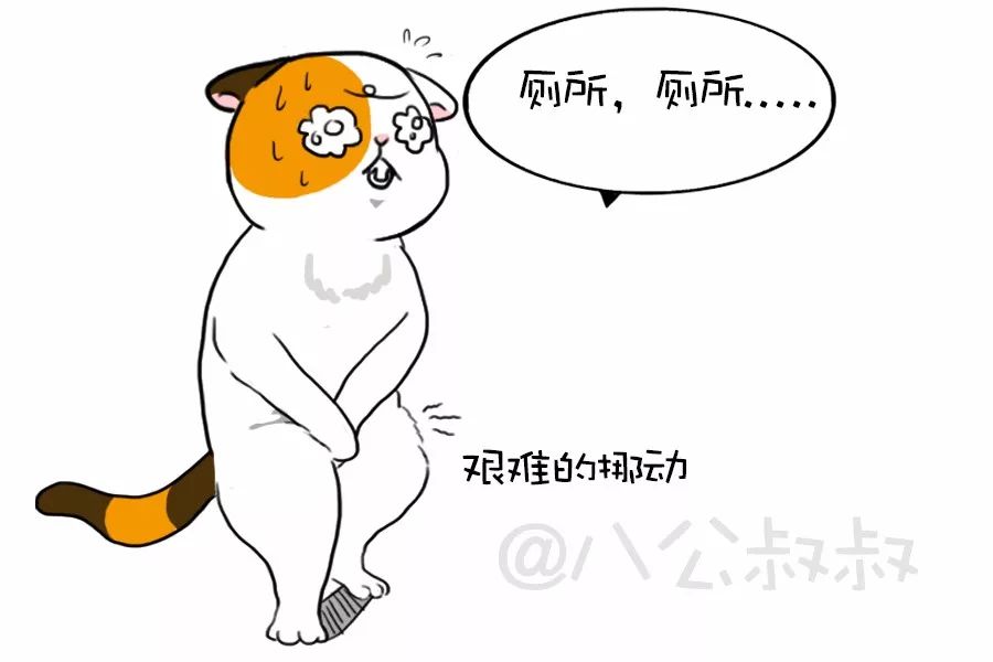 知识猫咪尿频尿急尿不出?当心得了下泌尿道症候群!