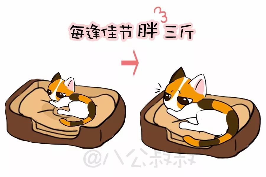 知识猫咪尿频尿急尿不出?当心得了下泌尿道症候群!