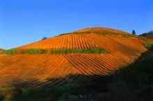 湖南株洲市炎陵县,湖南省株洲市炎陵县介绍