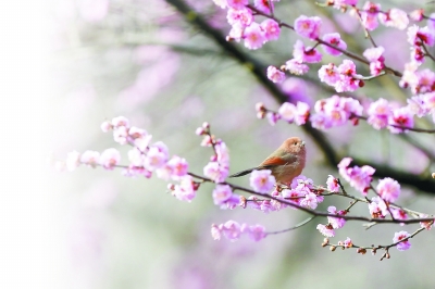 艰苦奋斗再创业人民日报社,艰苦创业六十载跨越发展谱新篇