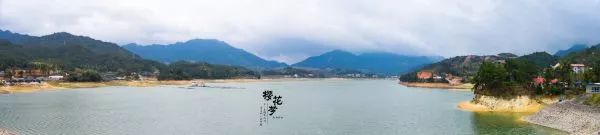 樱花梦日语,永福樱花之旅
