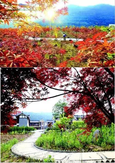 南江,让我再看你一眼,从南到北!